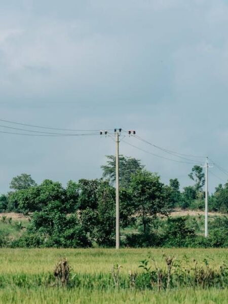 Electrical System